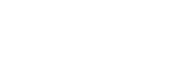 PROFECTUS CONSULTING